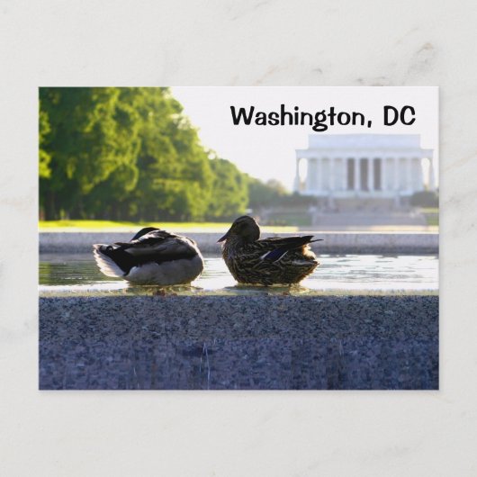 Washington, DC: Ducks bij het WWII Memorial Briefkaart (Voorkant)