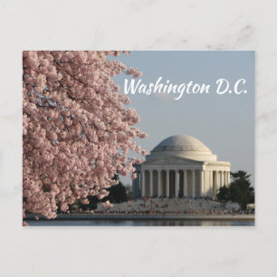 Washington DC in de lente ansichtkaart Briefkaart