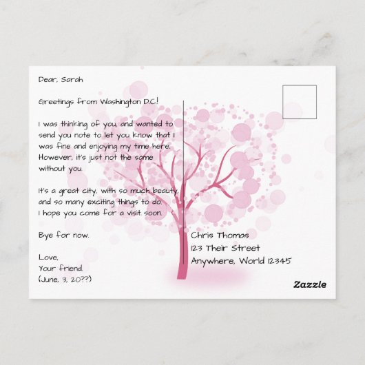 Washington DC in de lente ansichtkaart Briefkaart (Achterkant)