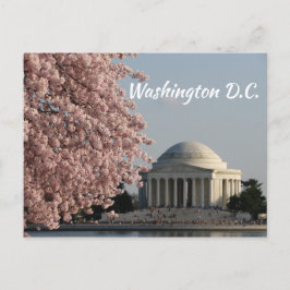 Washington DC in de lente ansichtkaart Briefkaart