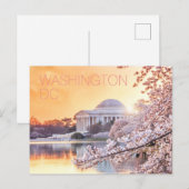 Washington DC Jefferson Memorial Cherry Blossom Briefkaart (Voorkant / Achterkant)