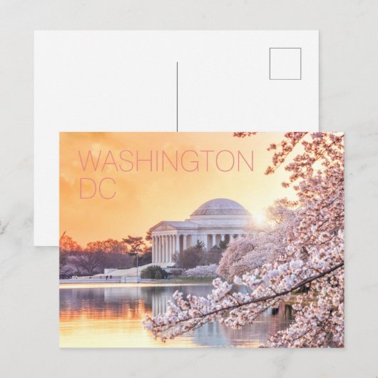 Washington DC Jefferson Memorial Cherry Blossom Briefkaart (Voorkant / Achterkant)