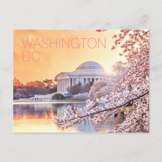 Washington DC Jefferson Memorial Cherry Blossom Briefkaart (Voorkant)