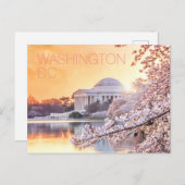 Washington DC Jefferson Memorial Kersenbloesems Briefkaart (Voorkant / Achterkant)