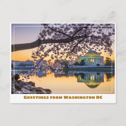 Washington DC Jefferson Memorial met Cherry Branch Briefkaart (Voorkant)