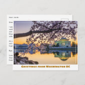Washington DC Jefferson Memorial met kersenbloesem Briefkaart (Voorkant / Achterkant)