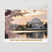 Washington DC Jefferson Memorial met Kersenbloesem Briefkaart (Voorkant)
