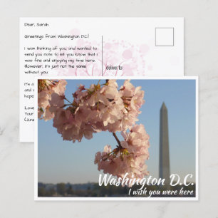 Washington DC Jefferson Memorial met Kersenboom Briefkaart