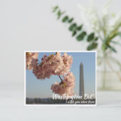 Washington DC Jefferson Memorial met Kersenboom Briefkaart (Staand voorkant)