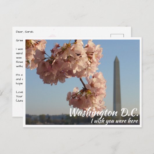 Washington DC Jefferson Memorial met Kersenboom Briefkaart (Voorkant / Achterkant)