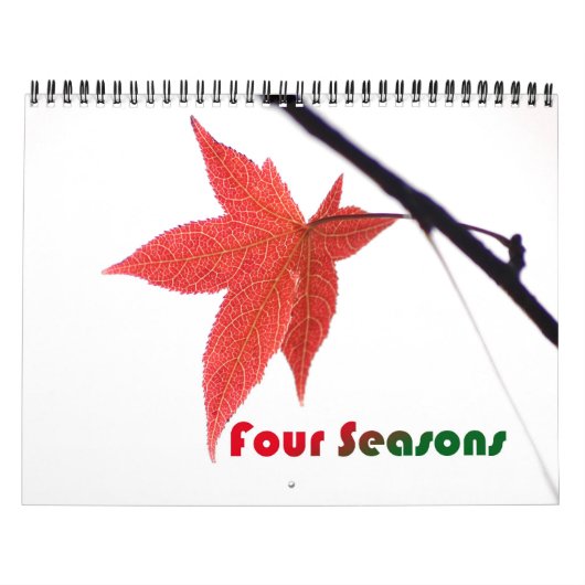 Washington DC Kalender (Hoes)