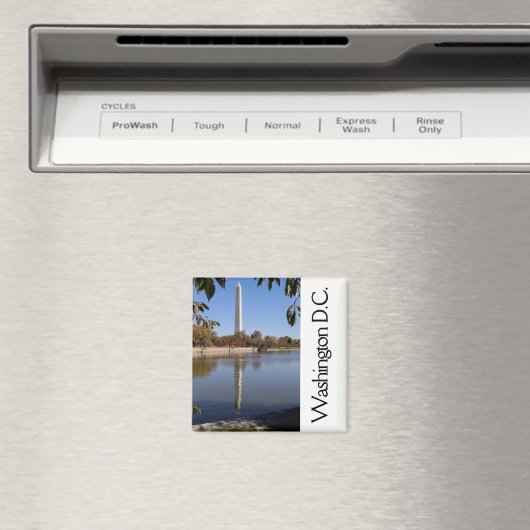 Washington DC Magnet (Insitu (Vaatwasser))