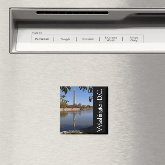 Washington DC Magnet (Insitu (Vaatwasser))