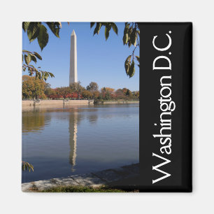 Washington DC Magnet