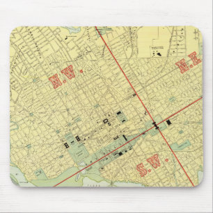 Washington, DC Muismat