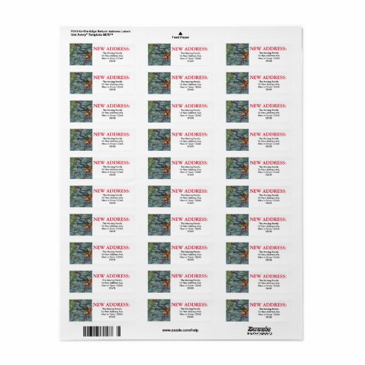 Washington DC Nieuw adreslabel Etiket (Full Sheet)