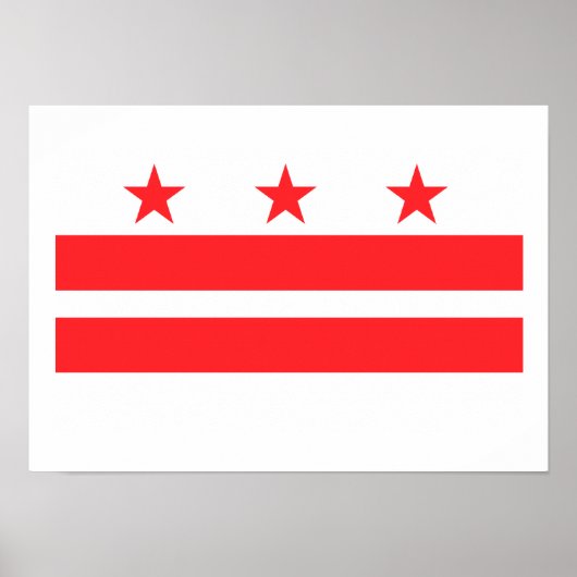 WASHINGTON DC. POSTER (Voorkant)