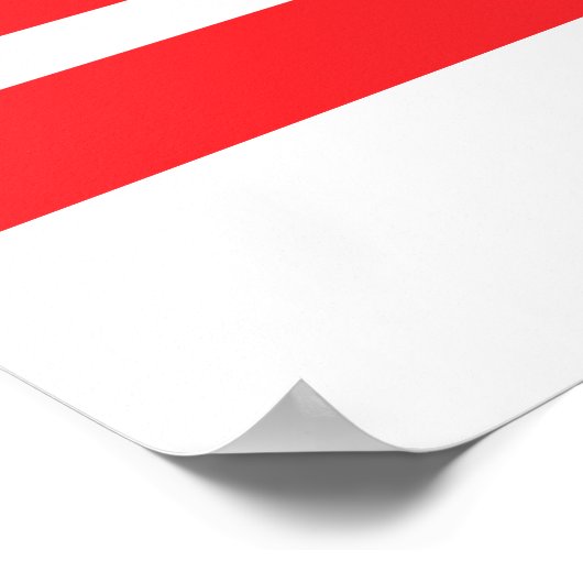 WASHINGTON DC. POSTER (Hoek)