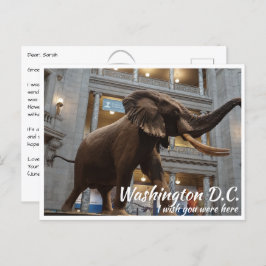 Washington DC Smithsonian Museum National History Briefkaart