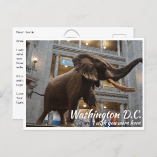 Washington DC Smithsonian Museum National History Briefkaart