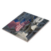 Washington, DC, standbeeld van Benjamin Franklin Tegeltje (Zijkant)