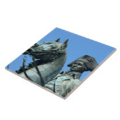 Washington, DC, standbeeld van generaal George Tegeltje (Zijkant)