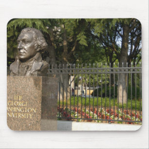 Washington, DC, standbeeld van George Washington, Muismat
