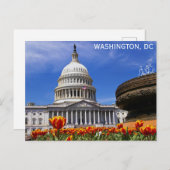 Washington DC United States Capitol Building Briefkaart (Voorkant / Achterkant)