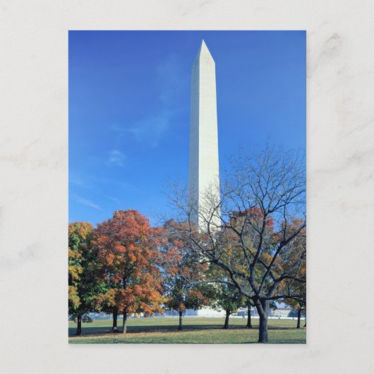 WASHINGTON, DC. USA. Washington Monument stijgt Briefkaart (Voorkant)
