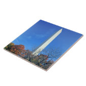 WASHINGTON, DC. USA. Washington Monument stijgt Tegeltje (Zijkant)