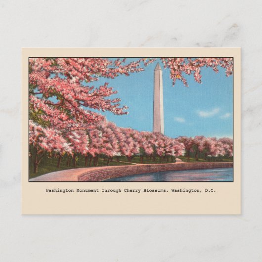 Washington DC Washington Monument Cherry Blossom Briefkaart (Voorkant)