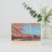 Washington DC Washington Monument Cherry Blossom Briefkaart (Staand voorkant)