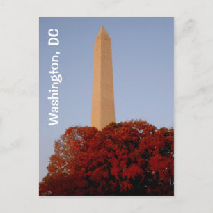 Washington, DC:  Washington Monument in Herfst Briefkaart