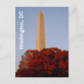 Washington, DC: Washington Monument in Herfst Briefkaart (Voorkant)