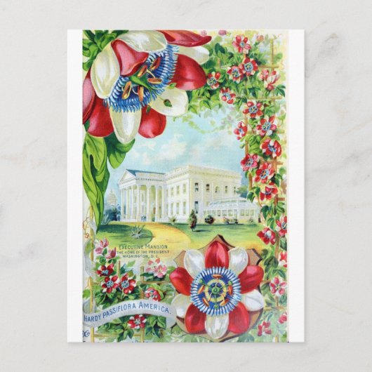  Washington DC White House Retro Travel Briefkaart (Voorkant)