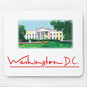 Washington DC - Witte Huis Muismat