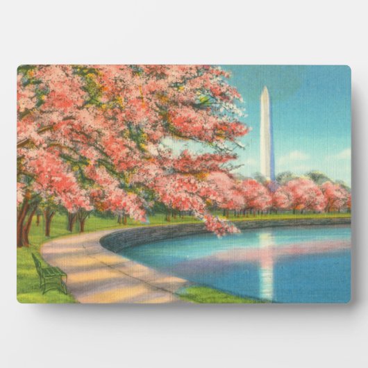 Washington Fotoplaat (voorkant)