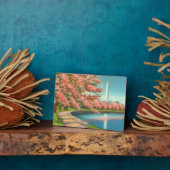 Washington Fotoplaat (Zijkant)