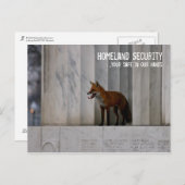 Washington, gelijkstroom:  De Humor van de Briefkaart (Voorkant / Achterkant)