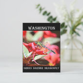 Washington Green Darner Dragonfly Briefkaart (Staand voorkant)