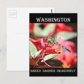 Washington Green Darner Dragonfly Briefkaart (Voorkant / Achterkant)