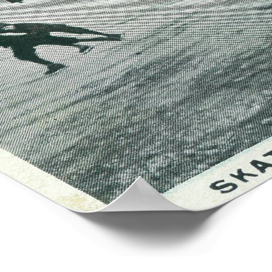 Washington Lake Park Ice Skening Scene Poster (Hoek)