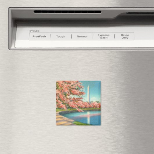 Washington Magneet (Insitu (Vaatwasser))