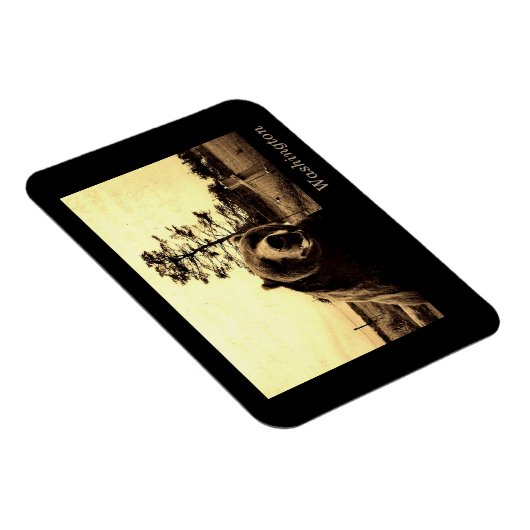 Washington Magneet (Rechterzijde)