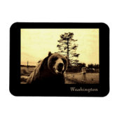 Washington Magneet (Horizontaal)