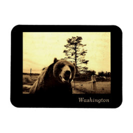 Washington Magneet