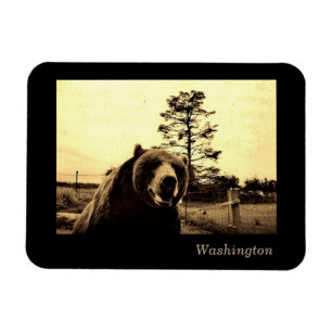 Washington Magneet
