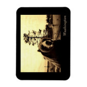 Washington Magneet (Verticaal)