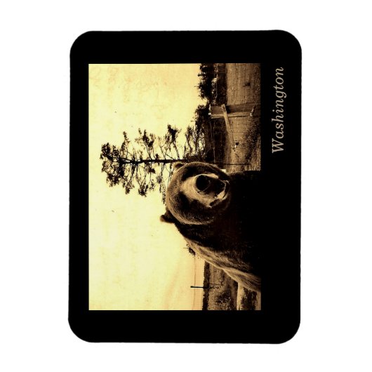 Washington Magneet (Verticaal)