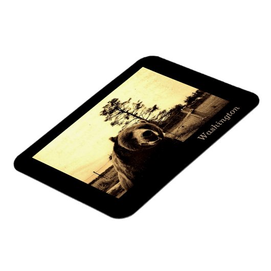 Washington Magneet (Linkerzijde)